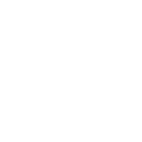 Youtube Icon